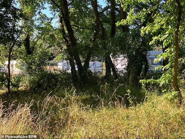 The encampment by Plymouth Albion rugby club has been earmarked to be part of Plymouth Argyle's new academy