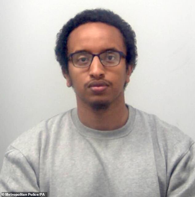Ali Harbi Ali (pictured) was described as a 'great person' by a police counter-terrorism official during a botched risk assessment before the killing