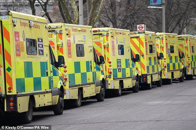A number of other patients are likely to have died or come to harm as a result of delays caused by 44 previous days of strikes by BMA junior doctors, health leaders warned (file image)