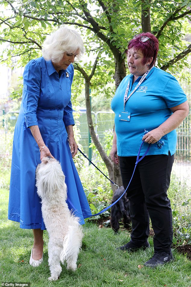 As she toured the premises of the South West London-based site, Camilla, who lost her beloved Jack Russell rescue Beth last November, made a fuss of the pooches living at the shelter