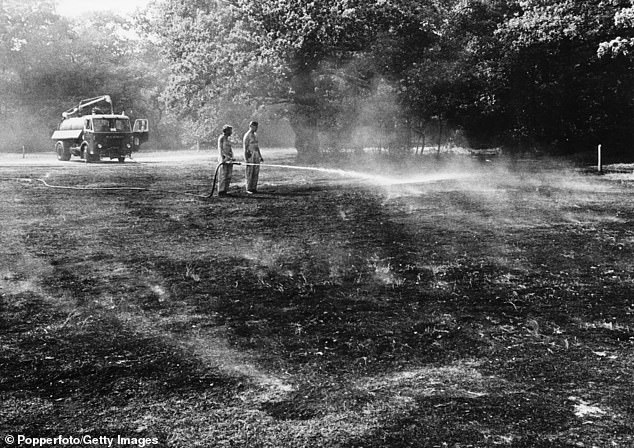 Firefighters putting out a forest fire in Epping Forest, near London, July 6, 1976