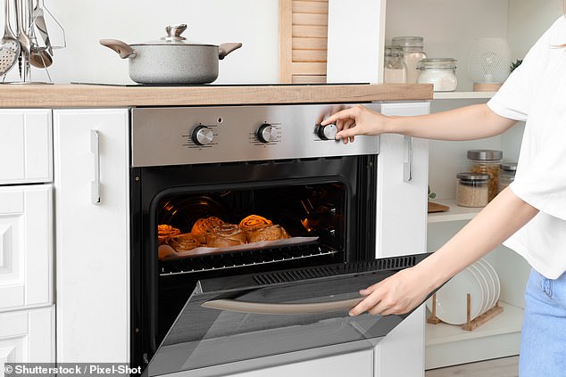 Boddy said she hasn't preheated her oven and baking pans in more than six years, deeming it a 'wasteful' step (stock image)