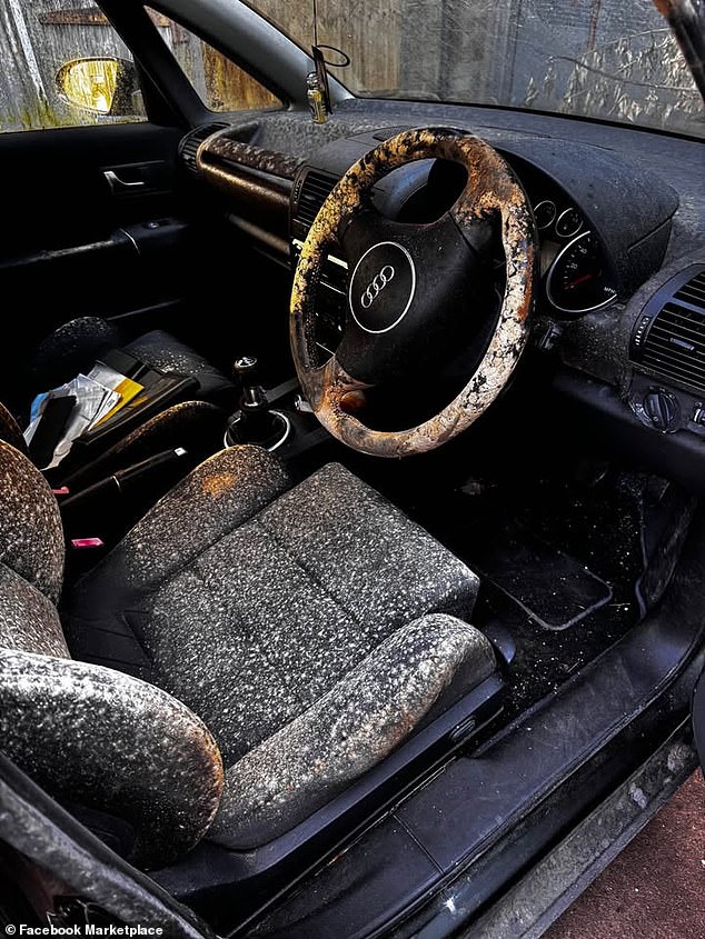 The cabin is covered in mould, with fungus growing on the steering wheel, driver's seat and dashboard