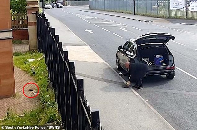 The 66-year-old is caught taking the cage with the rodent inside out of the boot of his black Audi before releasing it