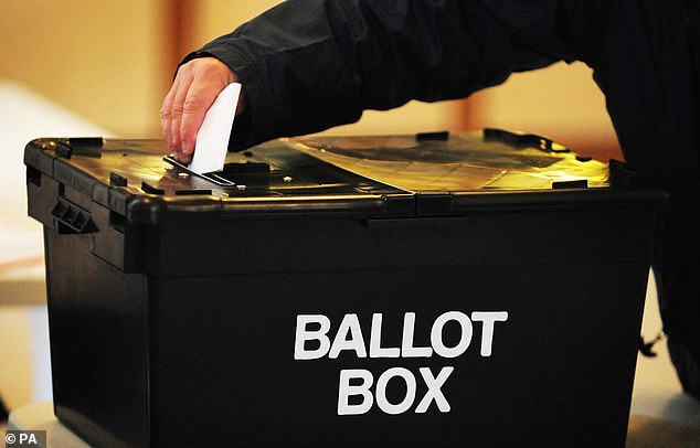 But the move, a manifesto pledge from the party, has been criticised as a cynical ploy since a large proportion of young voters support Labour.