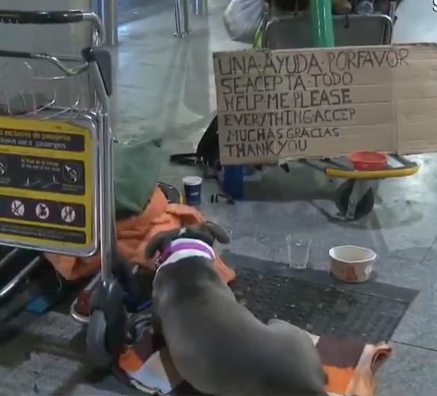 About 400 people are sleeping rough at Madrid airport, dubbed 'zombie city' due to its number of homeless people on drugs