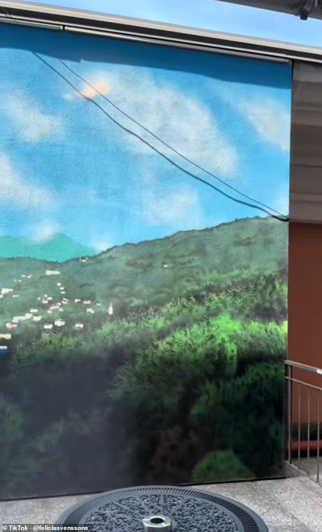 As the camera slowly zooms out, the illusion is shattered when viewers see that the view is nothing more than a massive printed poster, complete with scenic imagery, hung on a roller blind just beyond the balcony door