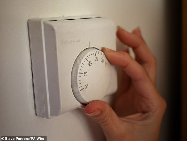 Under the plans, all homes with heat pumps would see an average fall in energy bills of 15 per cent, paid for by taxpayers (file image)