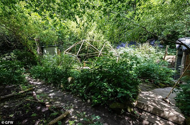 Self-sufficient: The next owner of the cabin can continue growing their own food on-site