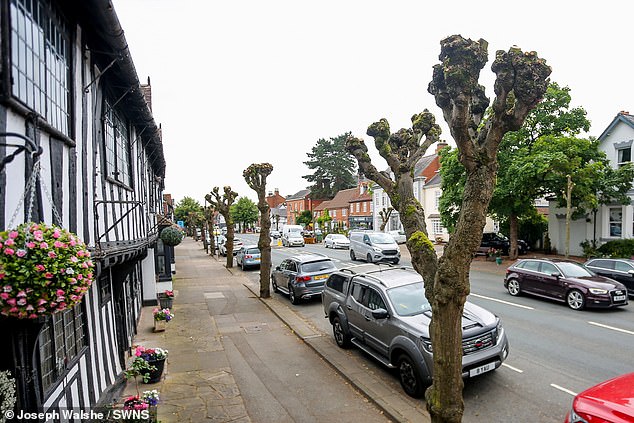 The Royal Horticultural Society (RHS), the UK's leading gardening charity, recommends late winter as the best time of year for pollarding, with autumn the least favourable period due to the possibility of decay fungi entering the pruning cuts. Pictured: Henley-in-Arden high street