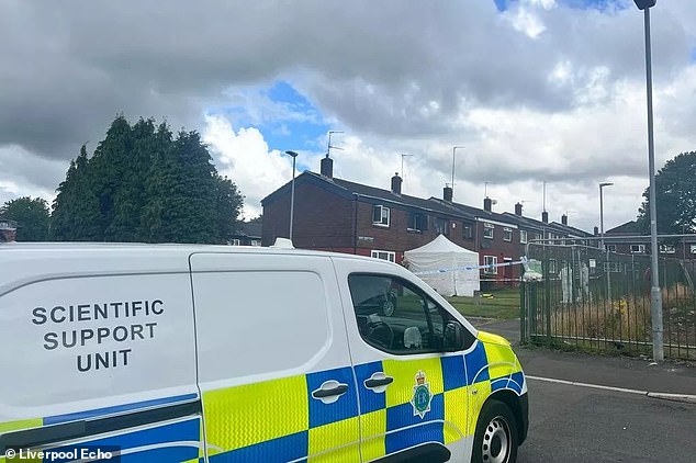 While police have stressed that they are 'still in the early stages of the investigation', part of their initial inquiries are set to 'establish why the fire was started at their house'. They described the incident as 'truly shocking'