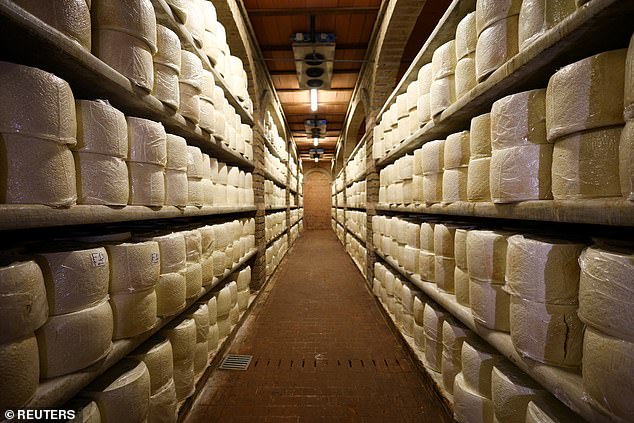 Wheels up: Wheels of Italian Pecorino Romano cheese are among the imports that could face a tariff of up to 30 percent ¿ or the lower 15-20 percent Trump is floating according to a new report