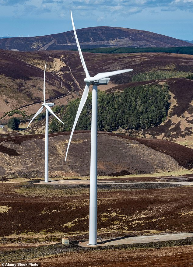 The skyline at the Dorenell Windfarm (pictured) in Scotland is these days broken by 59 gargantuan steel turbines