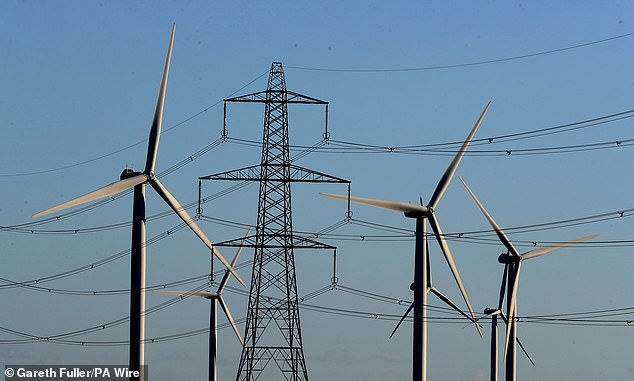 Some dizzying numbers have shown how the ‘green’ subsidy regime every Briton is financing has created a perverse property bubble (file image)