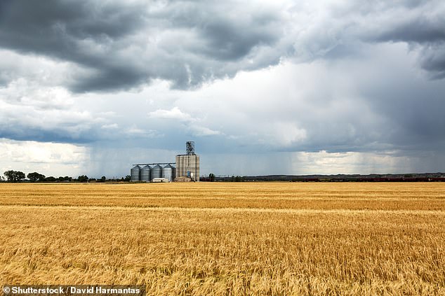 Upwards of £300million a year is now being spent under a ‘constraint’ scheme - designed to compensate wind farms - which has now cost bill-payers the grand total of £1.8billion (file image)