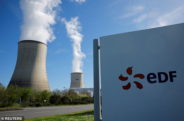 Christopher Moran took the EDF to court when he realised money he had made from his venture was less than it should have been (file image)