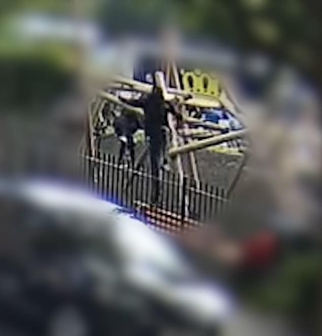 The yob can be seen pulling out his gun in the park in west London and shooting Rene