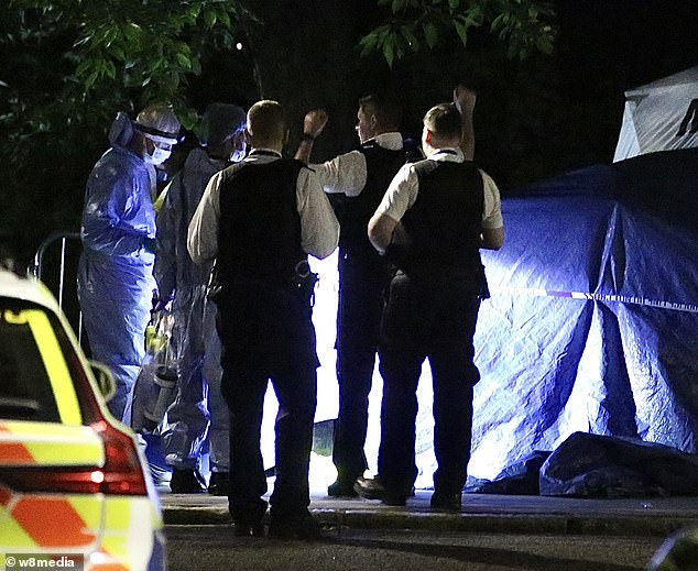 Police officers guard the crime scene in Ladbroke Grove, West London, last July