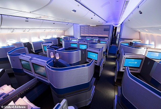 The social media user shared that the nightmarish experience happened on United Airlines Polaris, which features luxury business class seating options (file photo)