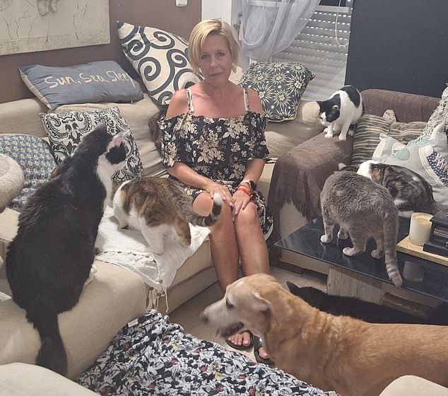But their dream has turned sour. Natasha is pictured surrounded by cats in their tiny flat. Chris, 47, who works as a removals surveyor, said of their dozens of cats: 'We started out rescuing a couple but it's got out of hand'