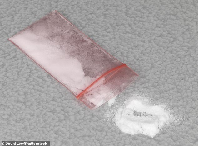 Ketamine - referred to jokingly as 'regretamine' - can lead to incontinence, kidney failure and bladder shrinkage, as well as memory loss, lack of muscle control, psychosis, depression and multiple cardiovascular effects (stock image)
