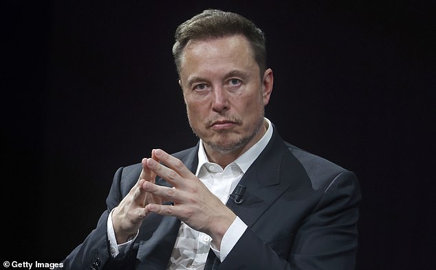 Elon described the relationship with Amber as the most agonising of all his romantic relationships