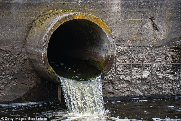 Middle class families could be hit with soaring water bills under Labour plans to lower the costs for Britain's poorest households (file photo)