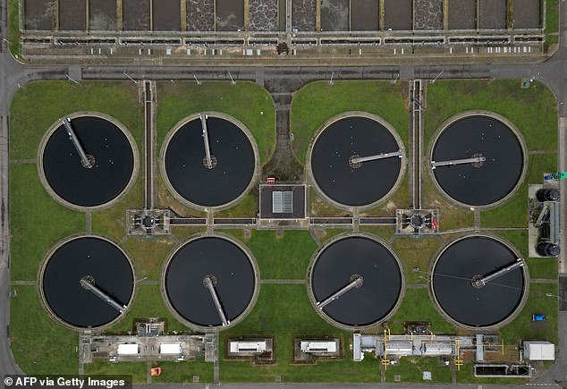 Pictured: Thames Water's Beddington Sewage Treatment Works near Croydon, south London