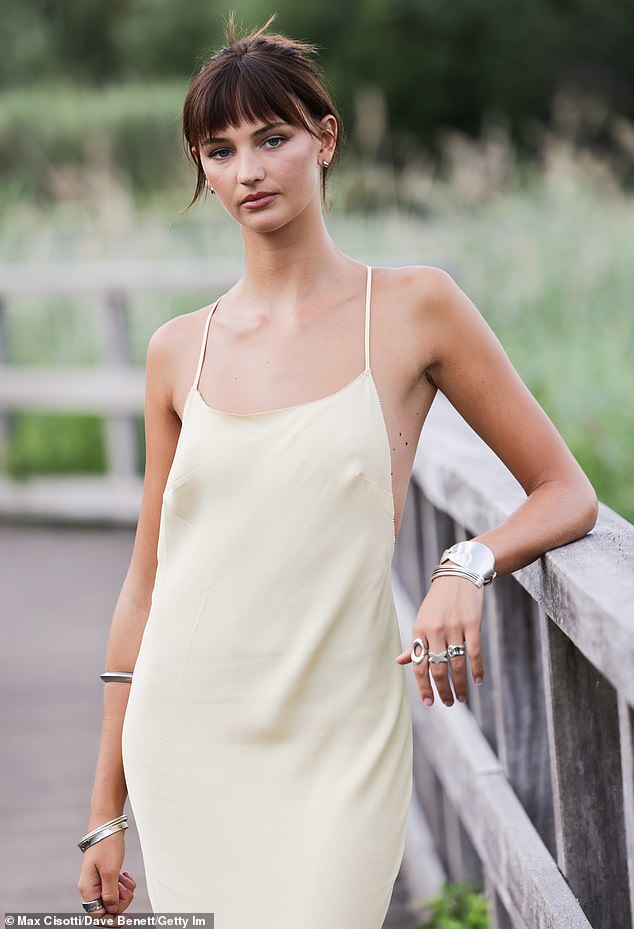 Model Mia Regan (pictured at the launch of her H&M collection) has set up a company called Mr Designs Ltd, listing herself as a designer