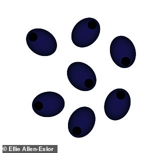 150g pitted black olives, 99p