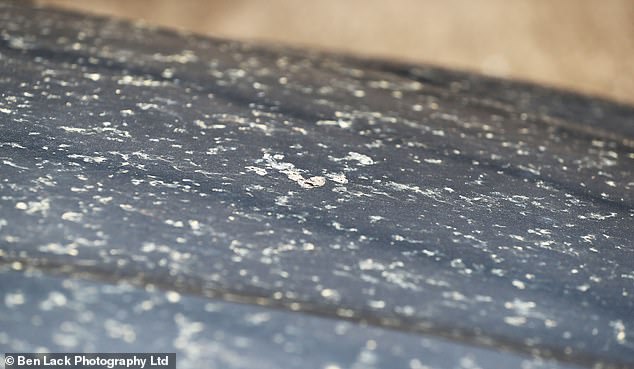 The smog from the Waddington incinerator is leaving a 'greasy residue' on people's cars