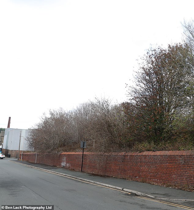 Residents also believe it is the smoke from the incinerator that is causing trees to die off. Pictured: Trees on the side of the factory the smoke blows towards can be seen brown and shrivelled despite other nearby plants looking healthy