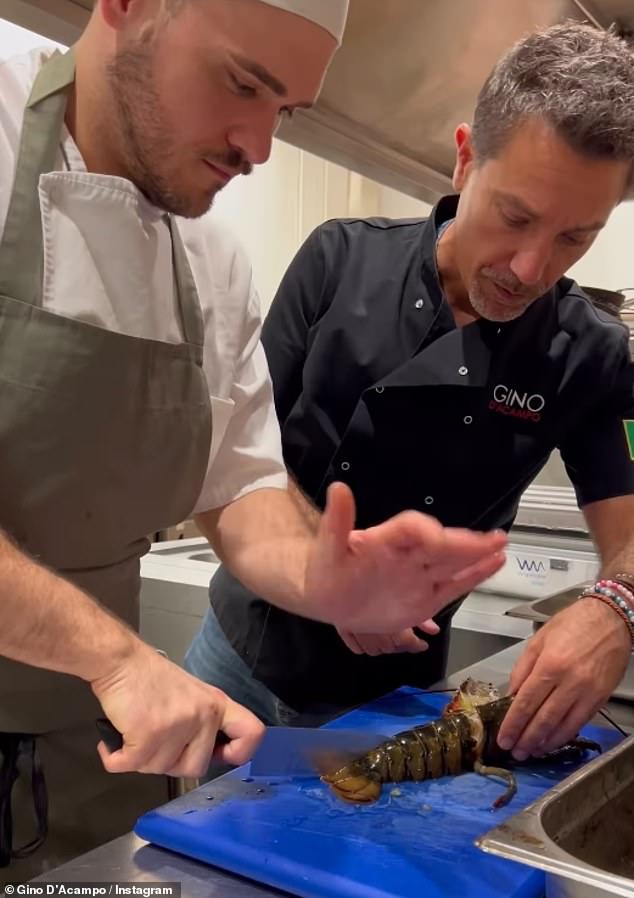 'Gino hopes people will see it and think "he¿s such a nice, down to earth guy, not too high and mighty to work in his own restaurant and look at everyone getting on with him,"'