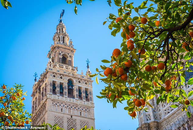 The pursuit of citrus dishes took the chef to Seville - only for the rain to turn up: 'It was like a November day in Oldham', says the chef