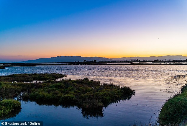 Tranquility: For new series Tom Kerridge Cooks Spain, the chef headed for the paddy fields on Spain's Ebro Delta - and found a former Spain strongman planting rice