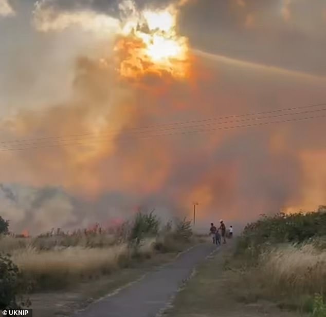 The fire was sparked by unseasonably hot 41C weather which led to oven like temperatures (Pictured: Firefighters tackling the 2022 blaze)
