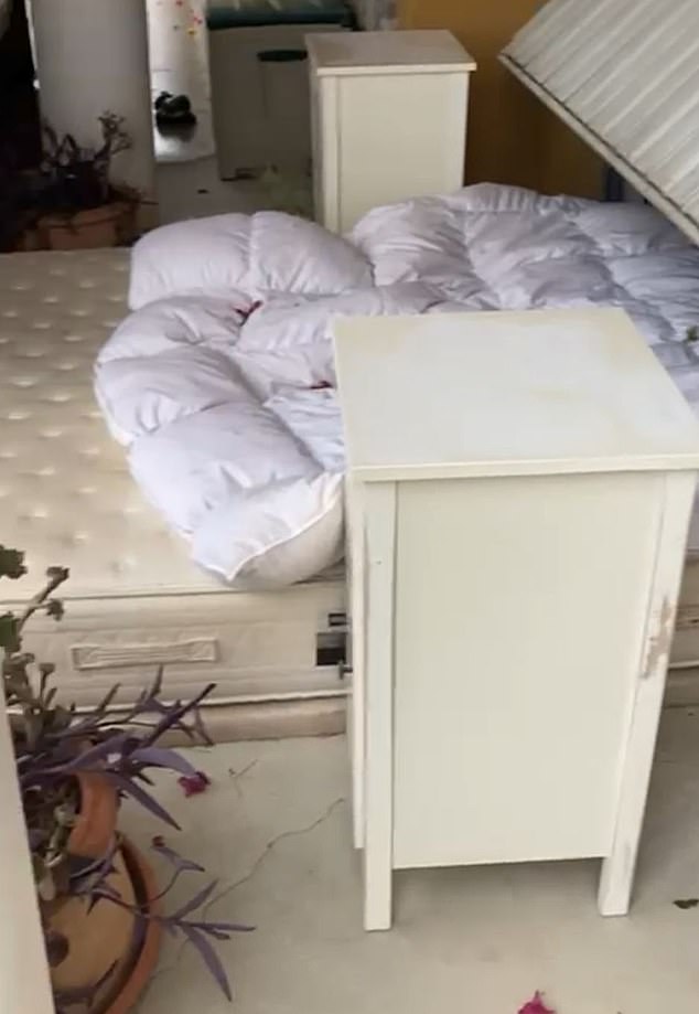 As previously revealed by MailOnline, the squatters have allegedly failed to pay more than ¿50,000 in rent for the three-bedroom house in Mijas, since 2020