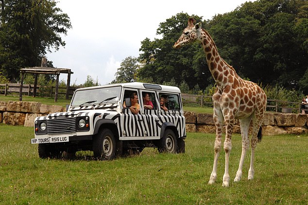 LONGLEAT SAFARI PARK, WILTSHIRE: Longleat boasts free parking but a family of four ticket costs £157.30