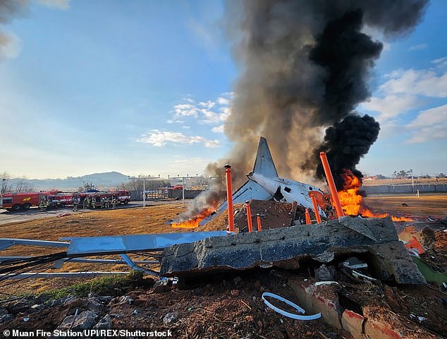 Instead of switching off the damaged engine, the crew mistakenly cut power the only one that was still functioning. 'A pilot may have mistakenly turned off the engine,' investigators said