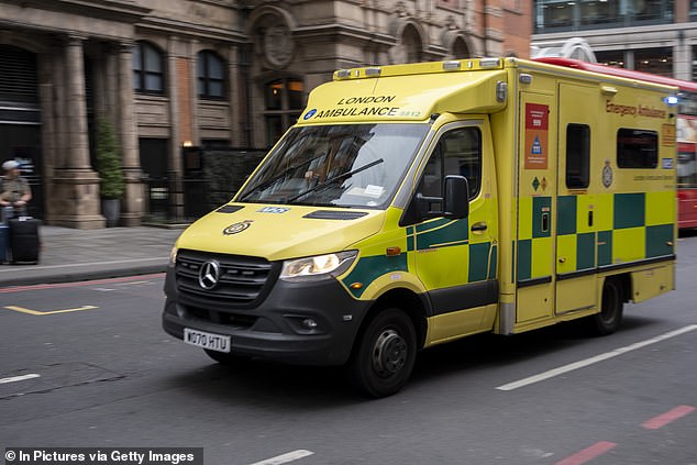 Police and medic crews rushed to the pub in Tower Hamlets, east London, at 1.25am today after a car smashed into the building when coming off the nearby carriageway (stock image of ambulance)