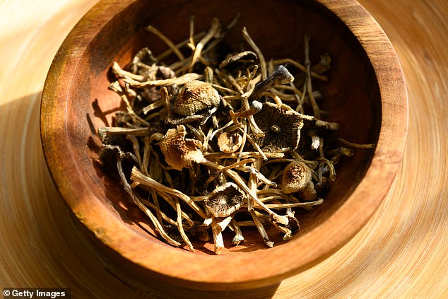 The book opens with him tripping on magic mushrooms for cluster headaches (stock image)