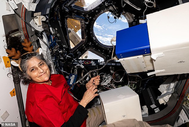 The threats sparked concern within NASA, particularly after the Crew Dragon was recently involved in a mission to save two astronauts who had been stranded at the International Space Station for 286 days