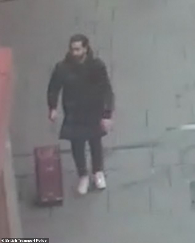 Pictured: The thief that targeted Jenson Button's wife Brittny in a crime revealed by MailOnline