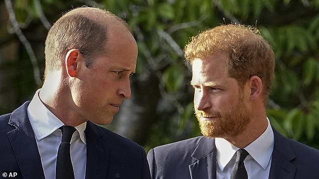 The brothers ended up at loggerheads when the Queen reluctantly accepted that Harry could keep his beard on his wedding day. The pair are seen in 2022 after their grandmother's death