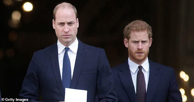 Seward wrote: '[Harry's] row with his brother was one thing - this is not unusual with siblings, when one has all the responsibility and the other is free to have more fun.' William and Harry are pictured in 2017