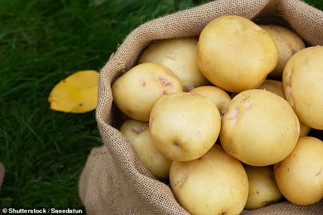 The chef said he'd always use peeled Yukon gold potatoes soaked (in water to prevent oxidisation) and cut up to an even size