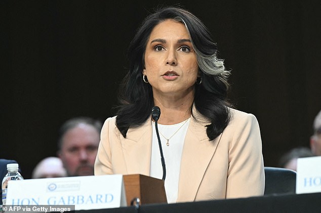 The Director of National Intelligence alleged there has been a 'treasonous conspiracy' as she demanded an FBI investigation