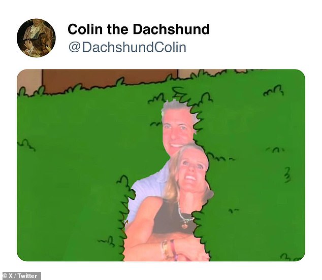 The popular Homer Simpson meme where he hides in bushes was used to describe how the couple may have felt
