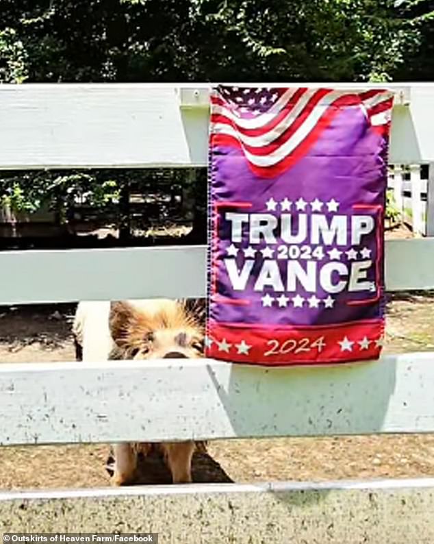 Durham claims the 'guest said there is no way she could stay somewhere like this' because of a small Trump-Vance campaign sign that was pinned to a fence on the property