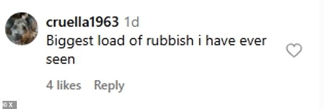 But someone concluded: 'Biggest load of rubbish I have ever seen'